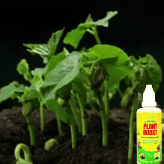 Organic Plant Booster Liquid Biofertilizer(Buy 1 Get 3 Free)